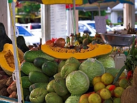 MARIGOT (5)